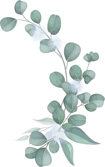 Bloemen