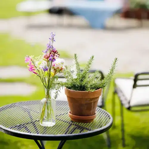 Arrangement adviesgesprek