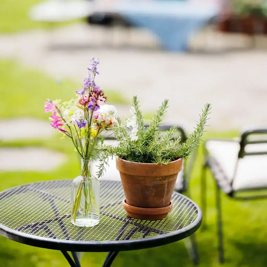 Bloemen en een plant op tafel
