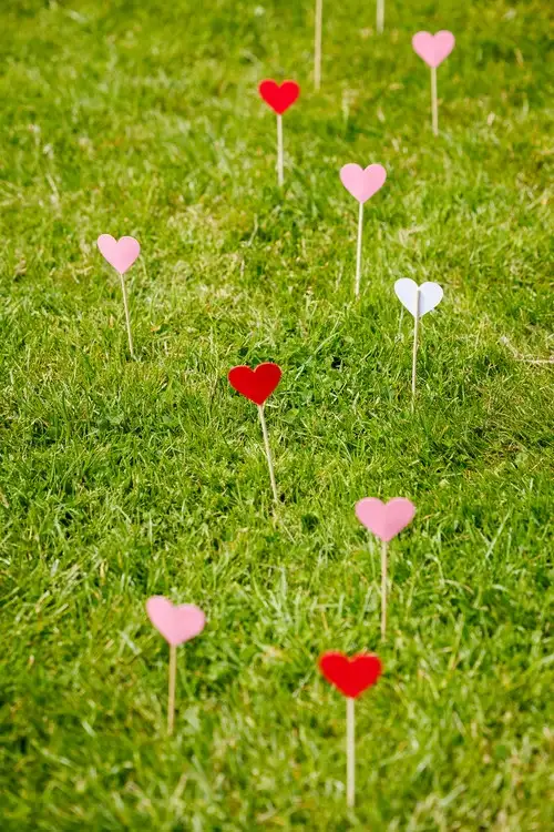 DIY hartjes in het gras